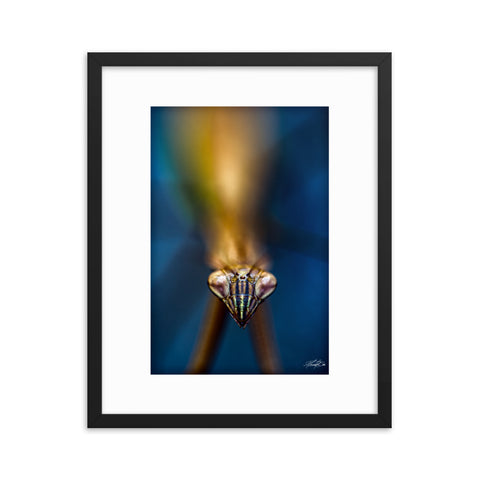 "Never Lose Sight" By Manny Cabo | Autographed Framed poster